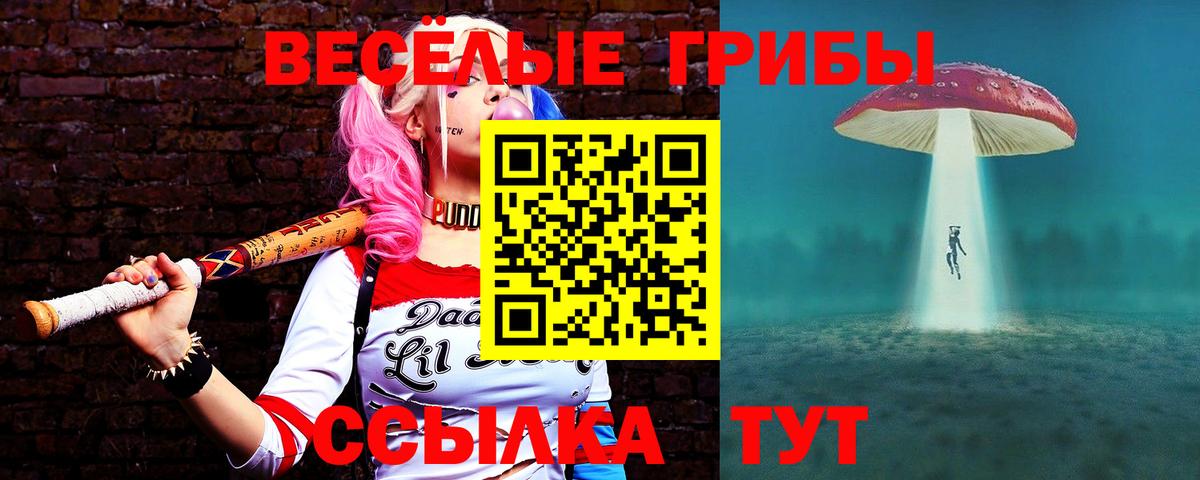 Новоалтайск  Галлюциногенные грибы ЛСД  Вход с VPN 