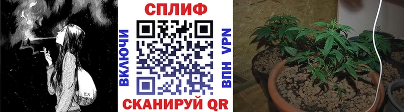 Конопля индика  купить наркоту  Новоалтайск 